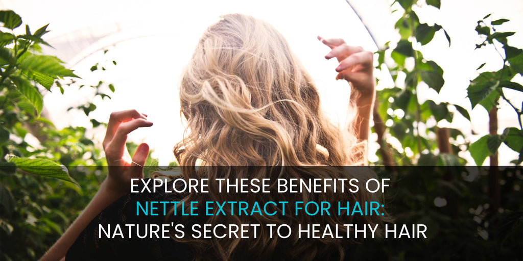 EXPLORE THESE BENEFITS OF NETTLE EXTRACT FOR HAIR: NATURE'S SECRET TO HEALTHY HAIR