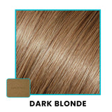 NEW! 4 in 1 Hairline Powder